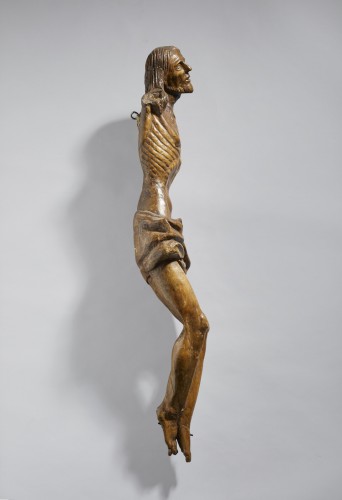 Religious Antiques  - Crucified Christ  in lime wood  - End of the 16th century